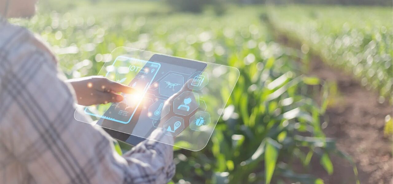 Claves para el crecimiento: Blockchain e Inteligencia Artificial en el agro