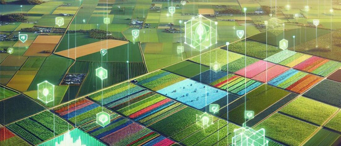 Blockchain en la Cadena de Suministro Agrícola: Innovación y Transparencia