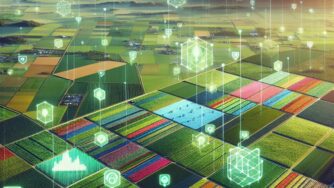 Blockchain en la Cadena de Suministro Agrícola: Innovación y Transparencia