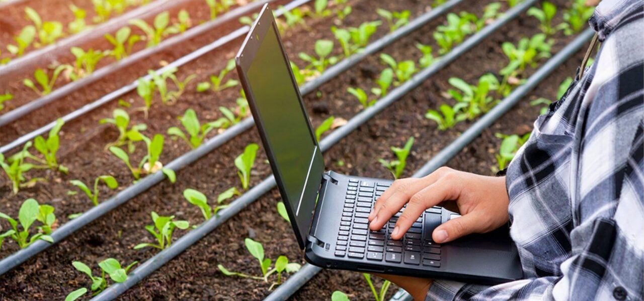 Transformación digital: gestión de datos para el crecimiento del agro